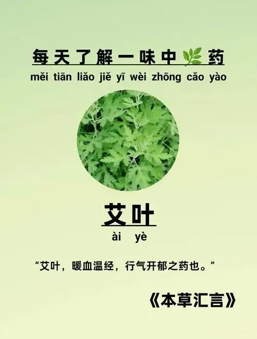 家庭自制艾叶泡酒特写：透明玻璃瓶中艾叶在酒液中舒展，色泽醇厚_1