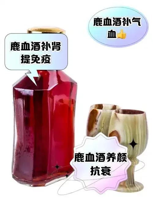 鹿血酒泡制材料与泡酒坛展示：透明玻璃坛、鹿血片、枸杞、人参和粮食酒。_1