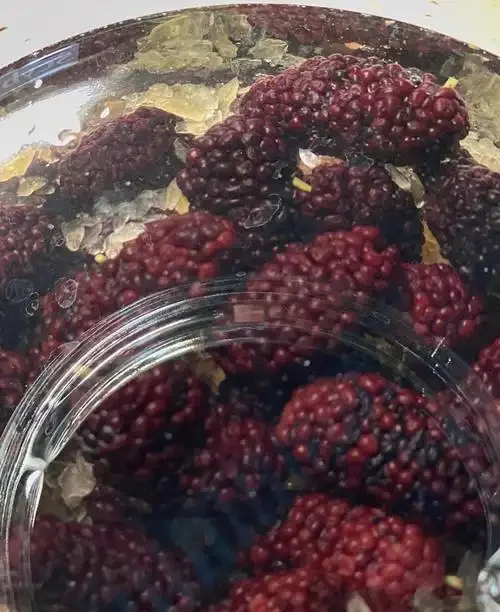 新鲜桑葚与正在发酵的桑葚酒玻璃罐特写_1