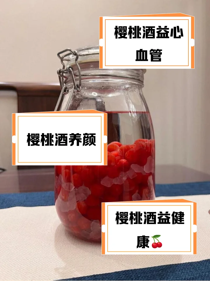 家庭自制樱桃酒发酵过程特写：玻璃罐中深红色樱桃酒醪正在发酵，旁边摆放着新鲜樱桃、糖和工具。_1