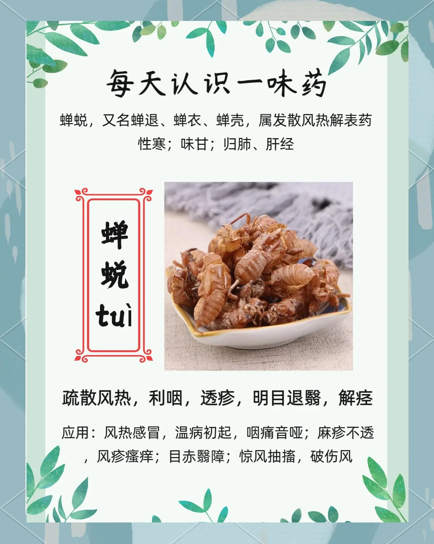 透明玻璃罐中泡制的蝉蜕酒特写，展示酒液色泽与沉底的蝉蜕药材_1