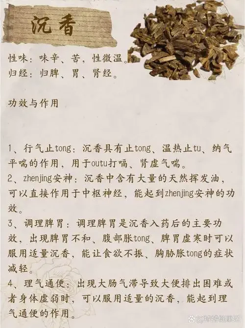 一瓶家庭自制的沉香养生酒与天然沉香木片的静物特写，展示原料与成品。_1