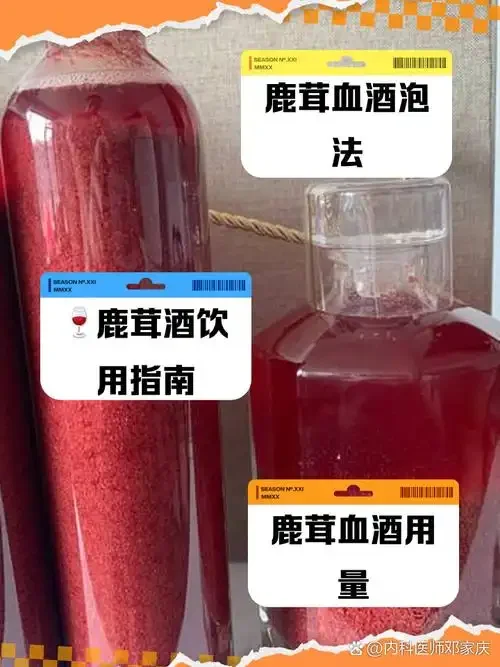 透明玻璃罐中干鹿茸片浸泡在琥珀色白酒中的特写，背景为酿酒工作台_1