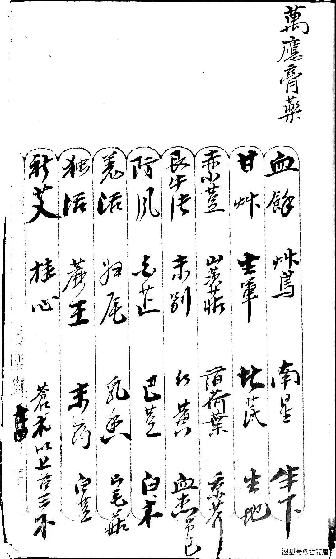 酿酒师在南楼山工作坊精心挑选制作跌打损伤药酒所需的中药材_1