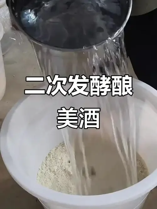 酿酒师的手正在检查糖化中的高粱，米粒表面布满白色菌丝，展示了糖化过程中的关键状态。_1