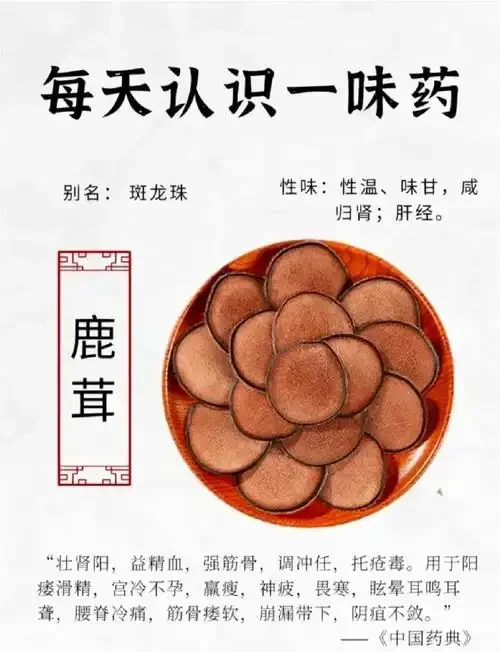 透明泡酒罐内浸泡着西洋参片和鹿茸片的家庭养生酒制作过程特写_1