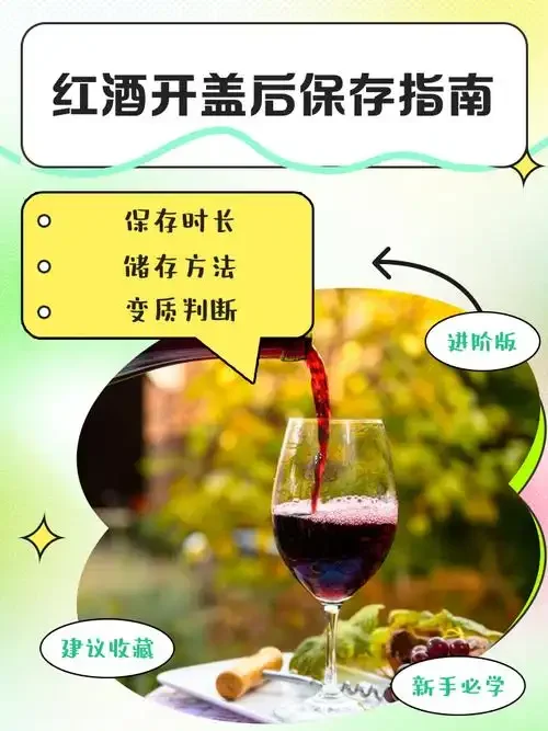 红酒开瓶后保存方法工具展示：一瓶已开启的红酒，旁边放置抽真空塞、小酒瓶和原木塞。_1