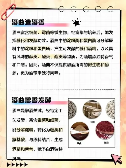 酿酒师观察发酵过程，背景融入化学分子与微生物元素，象征酿造背后的科学_1