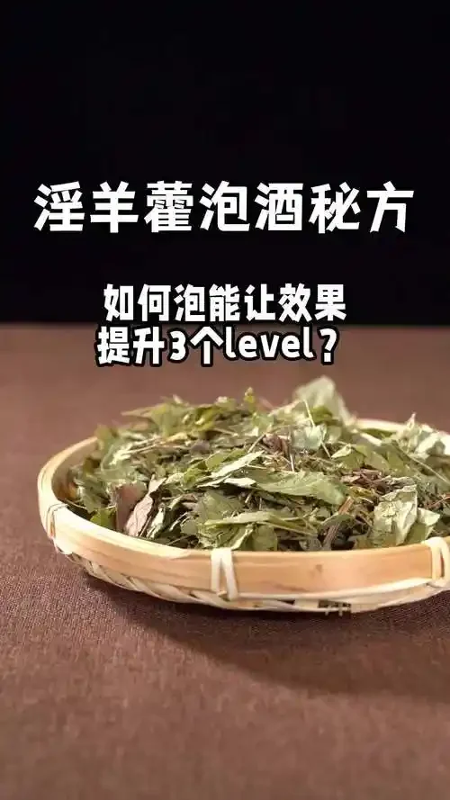 专业酿酒师视角下的淫羊藿泡酒特写：玻璃酒坛中淫羊藿叶片在琥珀色酒液中清晰可见，旁边散落新鲜叶片。_1