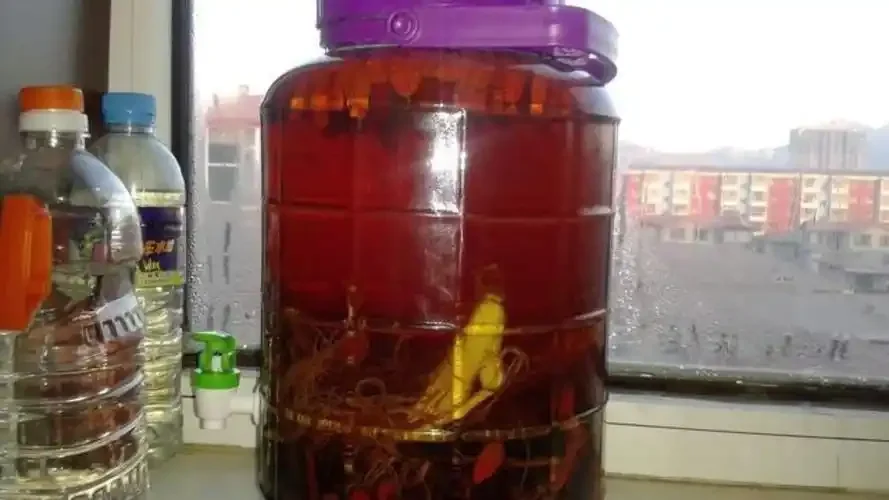 酿酒师工作台：展示用于泡制淫羊藿酒的精选药材（淫羊藿、枸杞等）、玻璃罐和基酒_1