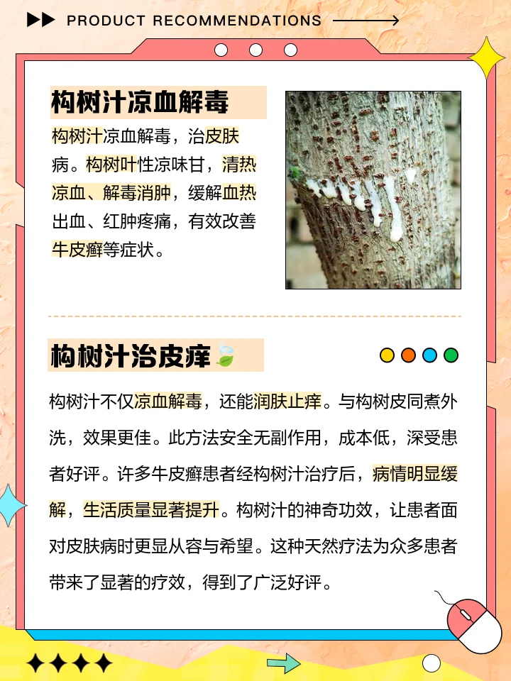 资深酿酒师将处理好的构树皮放入玻璃酒罐中进行浸泡的详细步骤特写_1