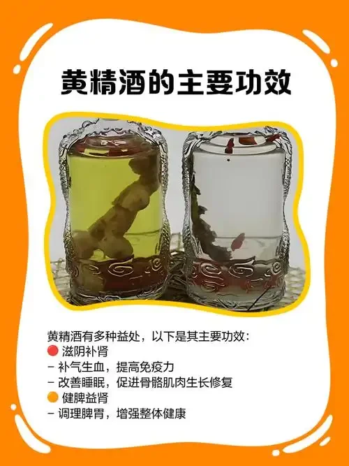 透明玻璃罐中黄精泡酒成品特写，酒色金黄透亮，黄精等药材清晰可见_1