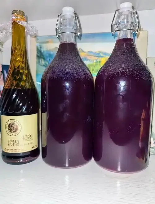 葡萄酒自酿操作台实拍：透明发酵罐、新鲜葡萄、剪刀、比重计等工具展示_1