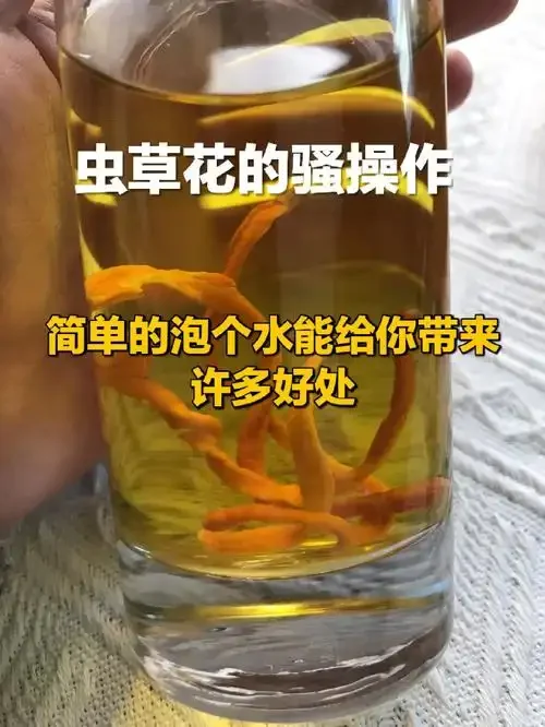 专业展示虫草泡黄酒的正确状态：玻璃罐中琥珀色酒液与完整虫草、红枣、枸杞清晰可见_1