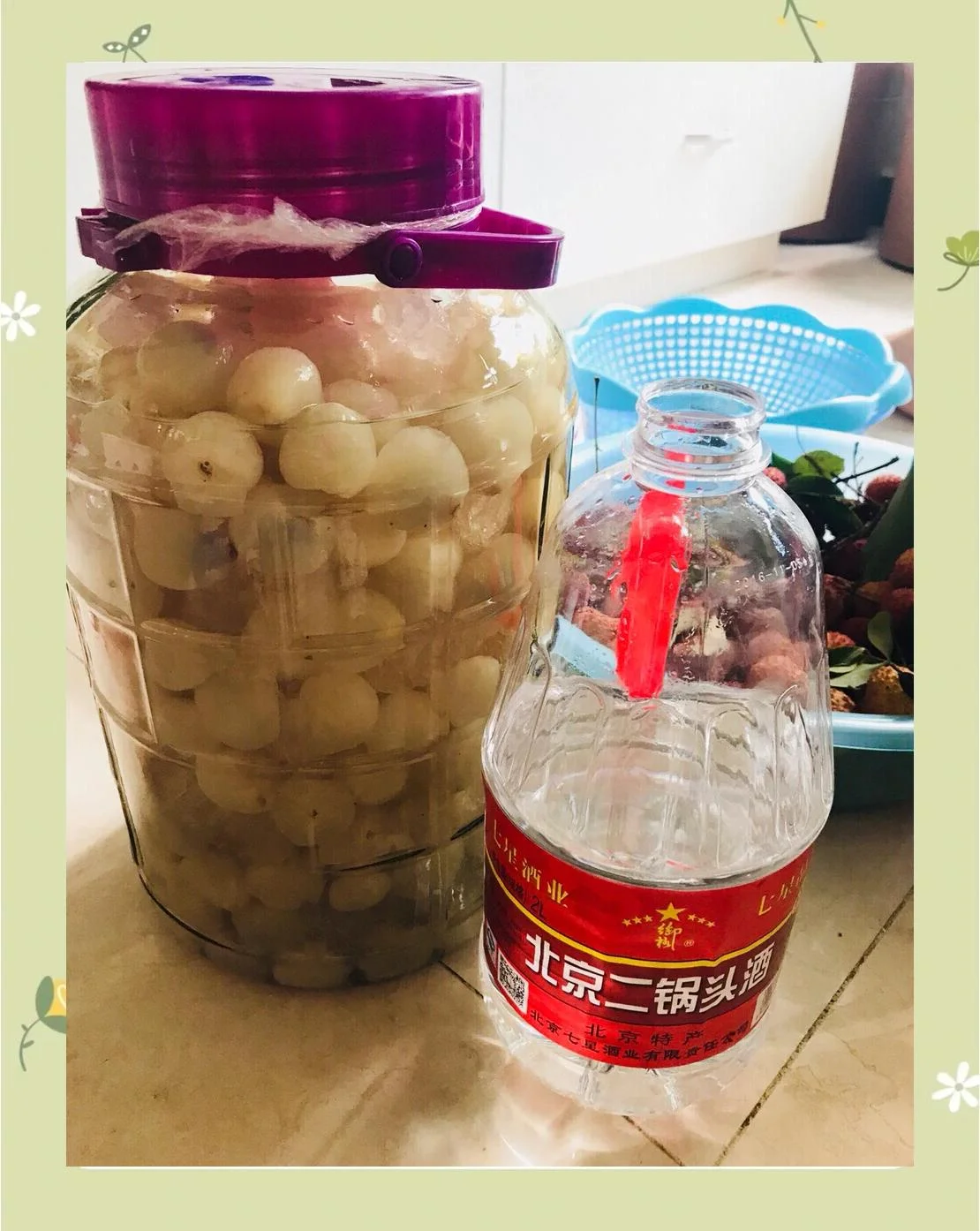 家庭自酿荔枝酒材料准备图：玻璃罐中浸泡的荔枝果肉、冰糖、新鲜荔枝及相关工具。_1