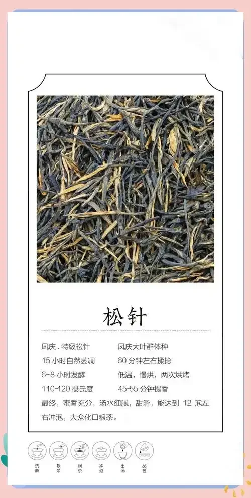 自制松针养生酒成品展示：玻璃瓶中翠绿松针在清澈酒液中清晰可见_1