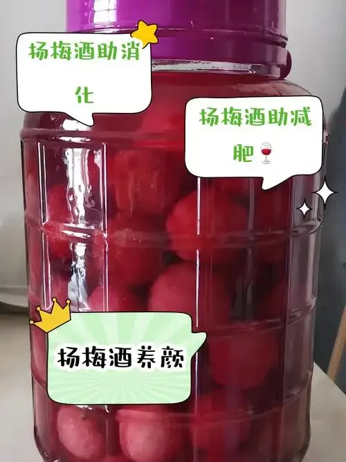 正在浸泡中的杨梅酒特写，展示玻璃罐中杨梅与白酒的完美比例和诱人色泽_1