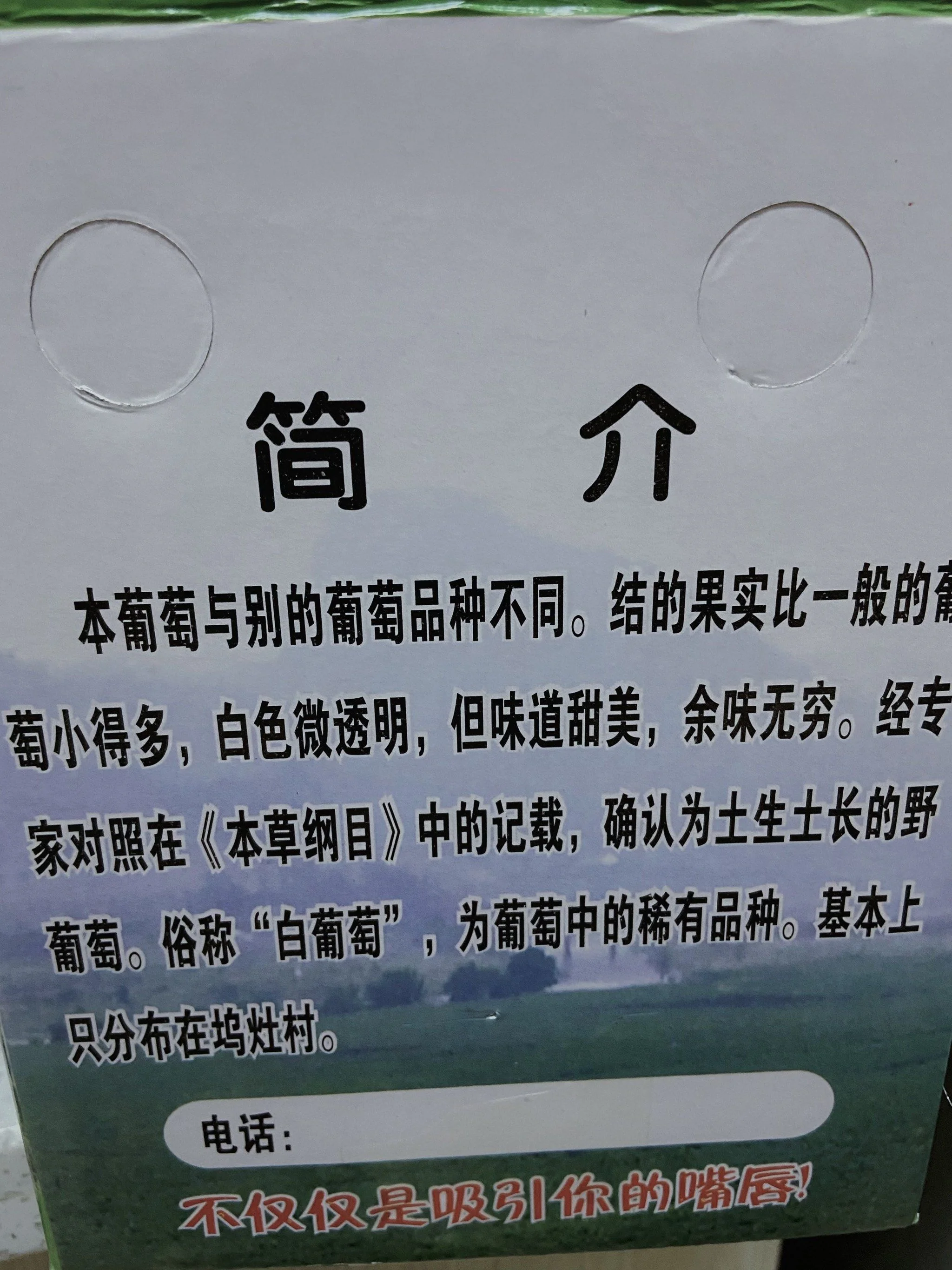 野葡萄泡酒材料准备特写：新鲜野葡萄、玻璃罐、糖和酒_1