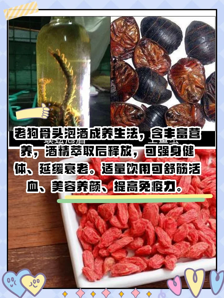 治疗膝关节疼痛药酒配方所用中药材与白酒浸泡过程实拍图_1