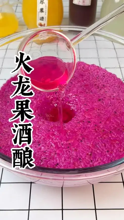 家庭制作火龙果酒的发酵过程实景图，展示透明发酵罐、新鲜火龙果和酿酒工具_1