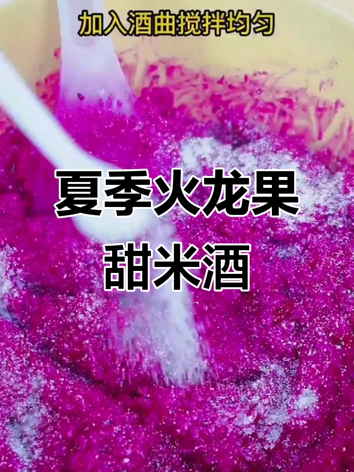 家庭手工酿造火龙果酒所需材料和正在发酵的酒醪实拍图，展示了红心火龙果、冰糖、玻璃罐等关键物品。_1