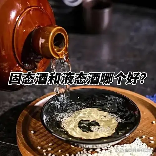 液态发酵与固态发酵酒醅的直观对比图，左侧为液态发酵醪液，右侧为固态发酵酒醅，展示了两种工艺的核心差异。_1