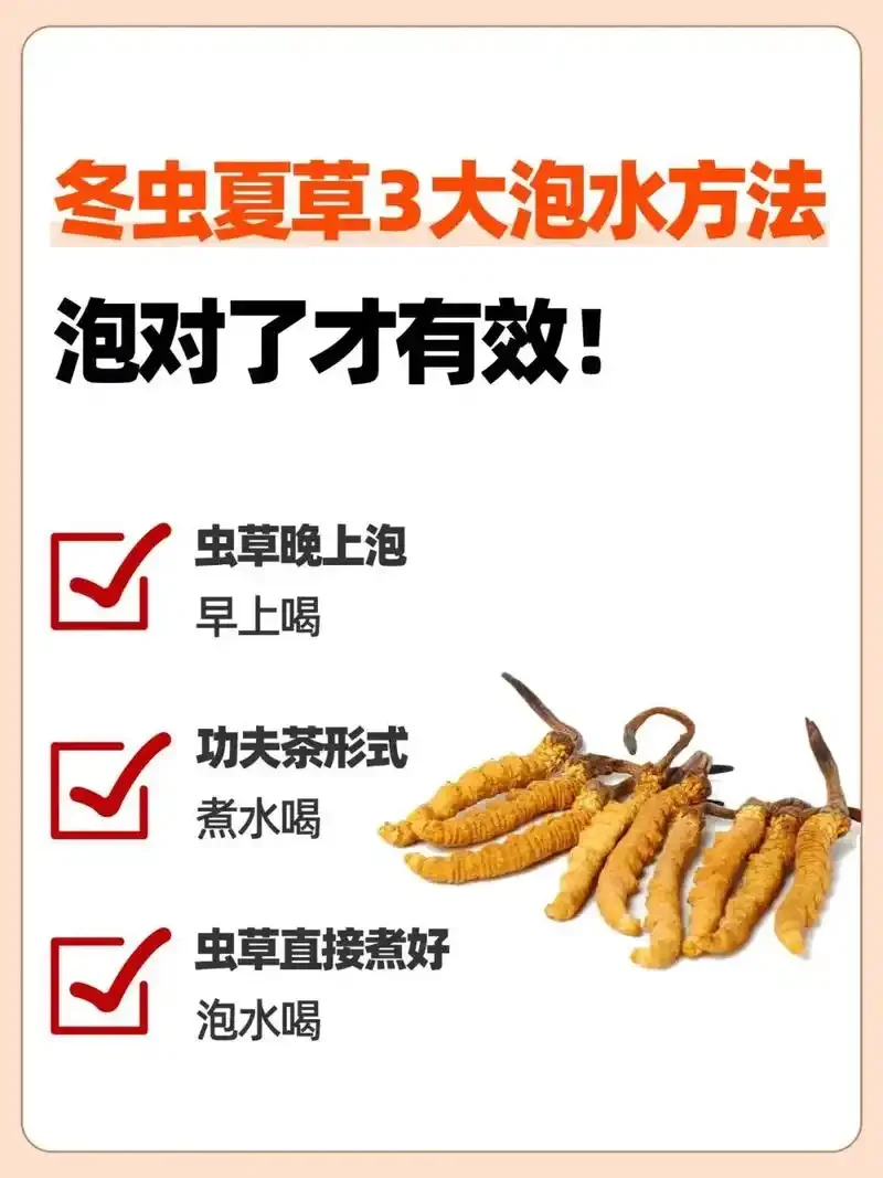 一坛储存于阴凉木架上的冬虫夏草酒，旁边摆放着优质虫草原料，展示专业家庭酿酒储存环境_1