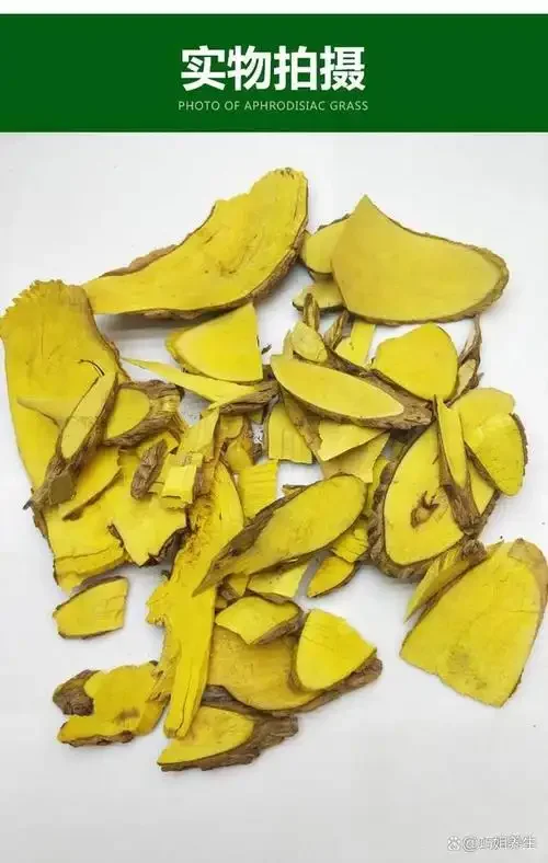 一个装着深琥珀色十大功劳药酒的透明玻璃罐，旁边散落着新鲜的十大功劳叶片，展示了传统药酒的泡制状态。_1