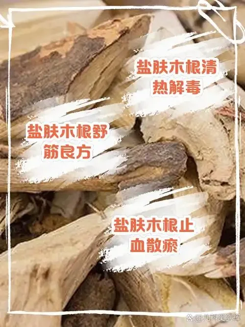 盐肤木果泡酒制作现场图：酿酒师正在将新鲜盐肤木果与冰糖一同放入玻璃罐中，准备注入白酒进行浸泡。_1