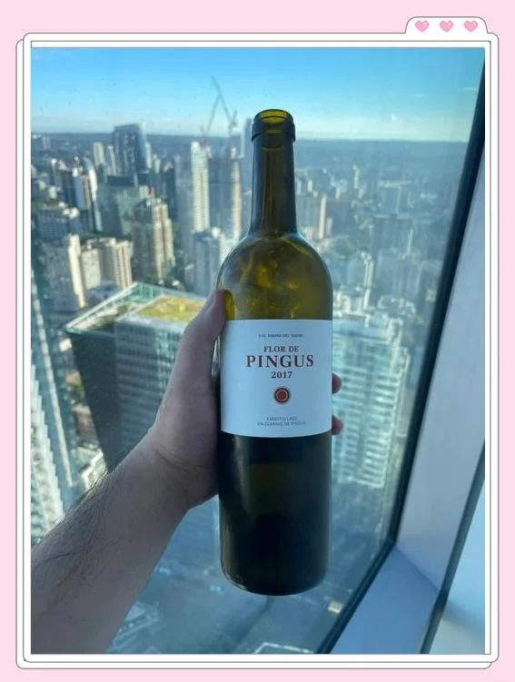 不同系列奔富红酒产品展示图，包括Bin 28, Bin 389, Bin 407等，在专业品鉴环境中陈列_1