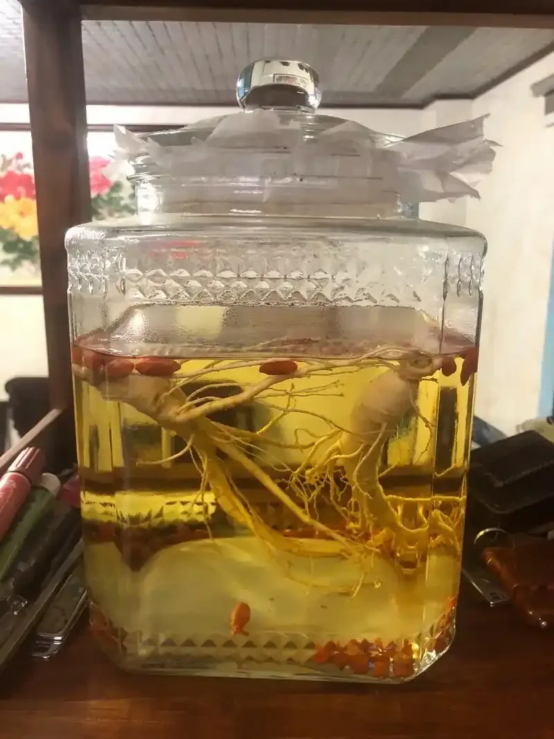 人参牛鞭枸杞泡酒实物展示：透明酒坛中琥珀色酒液浸泡着人参、牛鞭段和红枸杞。_1