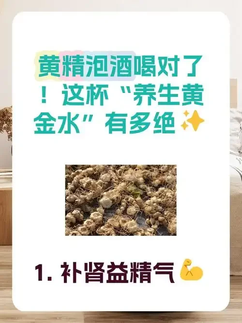 玻璃罐中正在浸泡的黄精酒特写，可以看到黄精切片和辅料在酒液中的细节_1
