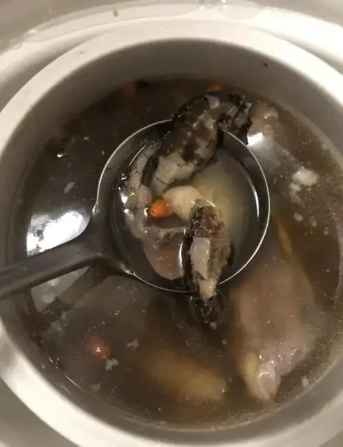 透明玻璃罐中正在泡制的石斛海马酒特写，金黄色酒液清晰可见海马与石斛的形态。_1