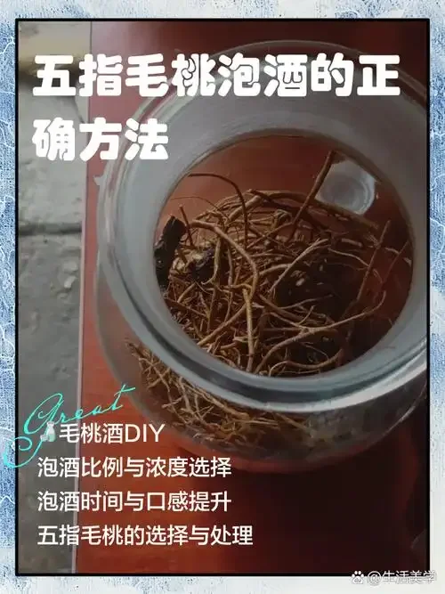 五指毛桃人参酒泡制过程展示：玻璃罐中琥珀色酒液浸泡着药材，旁边摆放着五指毛桃、人参、枸杞等原材料。_1