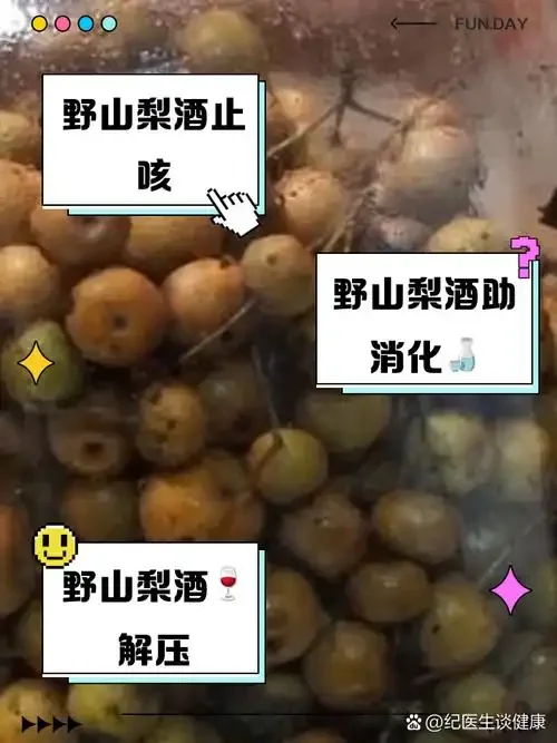 家庭自酿梨子酒的制作材料与发酵罐特写_1