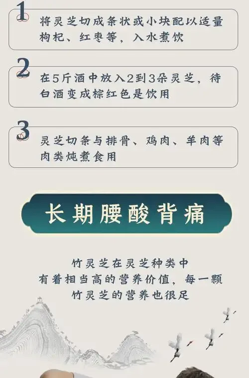 正在制作中的木灵芝泡酒，展示了优质灵芝切片与成品酒液在玻璃瓶中的对比状态_1