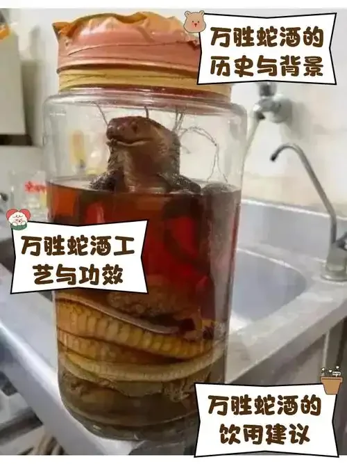 一坛传统酿造、含有中药材的蛇酒特写，用于探讨其对健康的作用_1