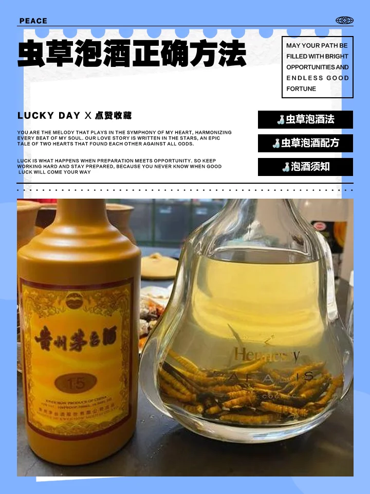 虫草人参泡酒成品特写：透明玻璃罐中琥珀色酒液浸泡着人参和冬虫夏草_1