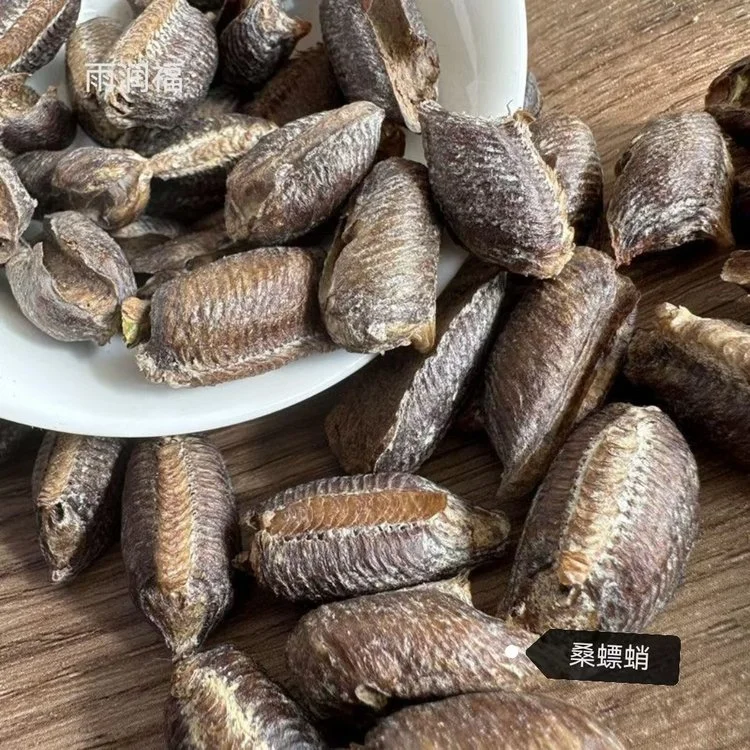 桑螵蛸泡酒制作过程展示：玻璃罐中浸泡的桑螵蛸与精选药材特写_1