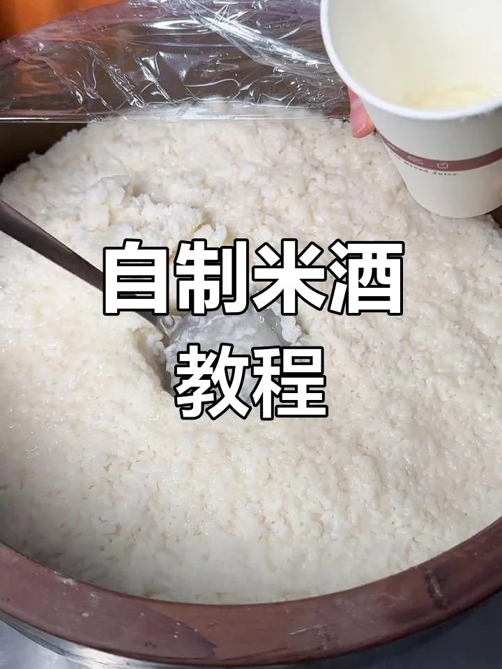 装在透明玻璃密封罐中的自制酒酿，旁边放着一把木勺，准备放入冰箱冷藏保存。_1