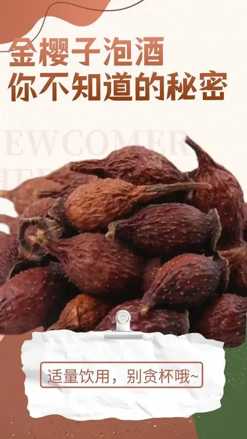 金樱子干货与鲜果泡酒实物对比图：左侧干货与琥珀色酒体，右侧鲜果与淡金色酒体_1