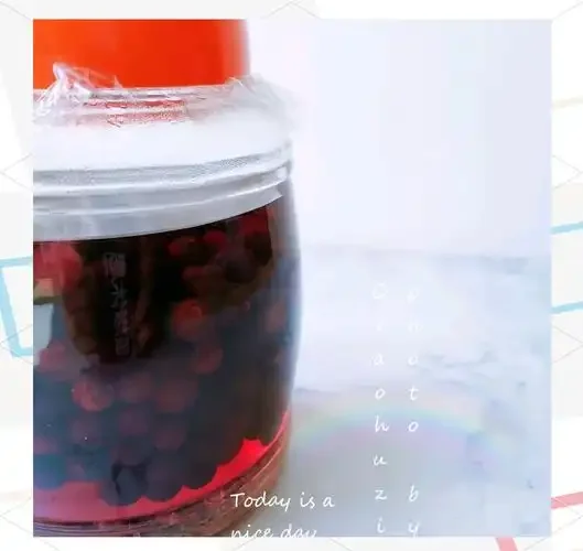 家庭酿造蓝莓酒过程中，手动破碎蓝莓并准备入罐发酵的关键步骤实拍图_1