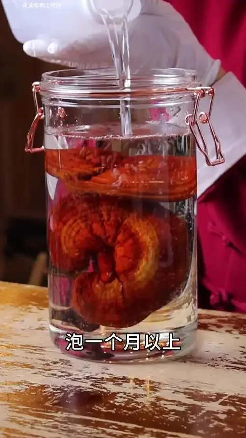 人参灵芝酒浸泡成品图，展示人参与灵芝在琥珀色酒液中的状态_1