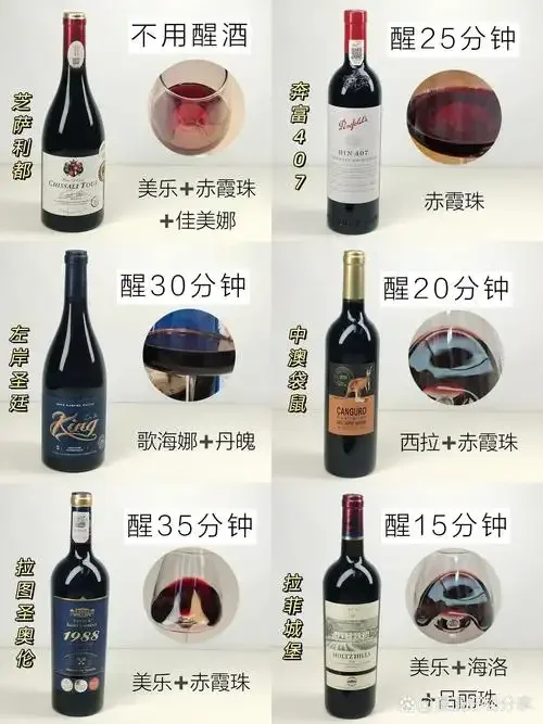 自酿红酒成本分析实拍：桌上有新鲜葡萄、酿造工具、计算成本的笔记本和一杯已酿好的红酒_1