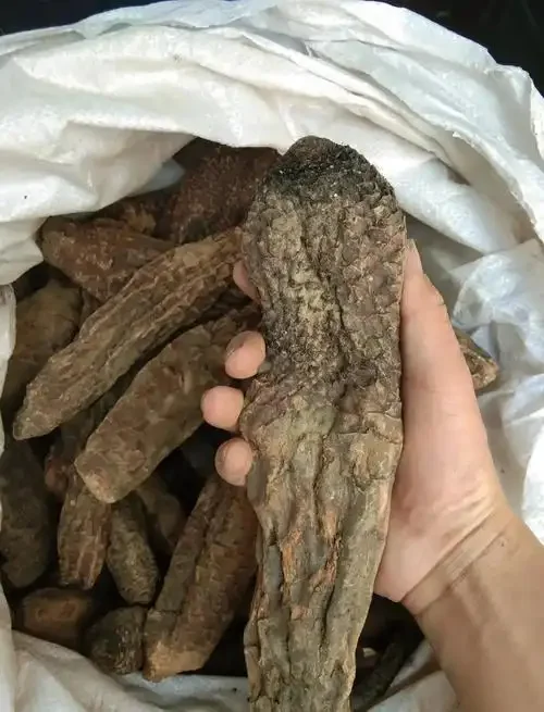 透明玻璃泡酒罐内，琥珀色酒液中浸泡着肉苁蓉、红枣和枸杞，展示家庭泡酒的经典场景_1