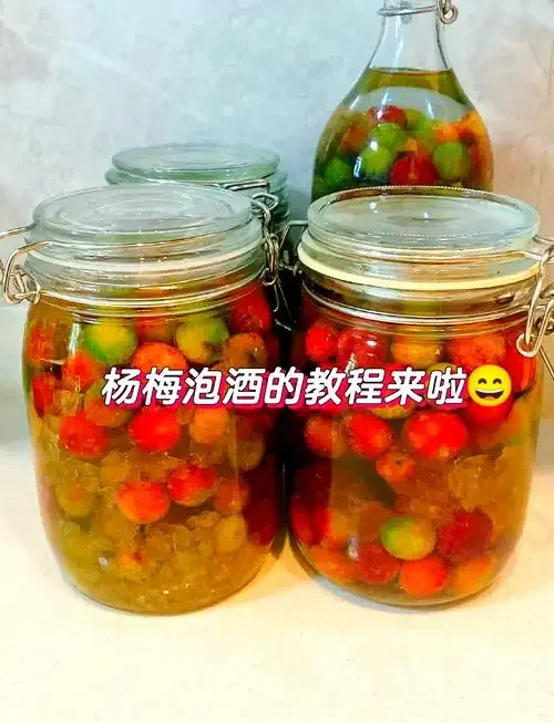 家庭自酿杨梅菊花酒的成品展示，罐中酒色红润，配料清晰可见。_1