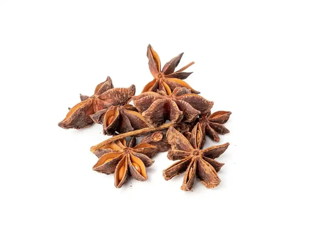 一瓶正在浸泡中的八角茴香药酒，在厨房工作台上，旁边有中药材和笔记本，展示传统家庭泡制药酒的过程。_1