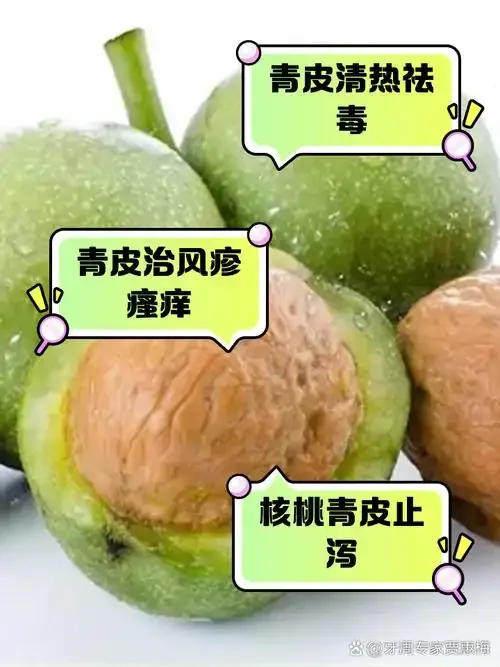 一坛自制的青皮核桃酒特写，旁边摆放着新鲜的青皮核桃原料。_1