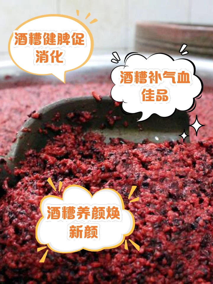 不同形态的传统酒曲特写：大曲、散曲、红曲米，旁边配以高粱和白酒，展示酒曲的多样性与核心作用。_1