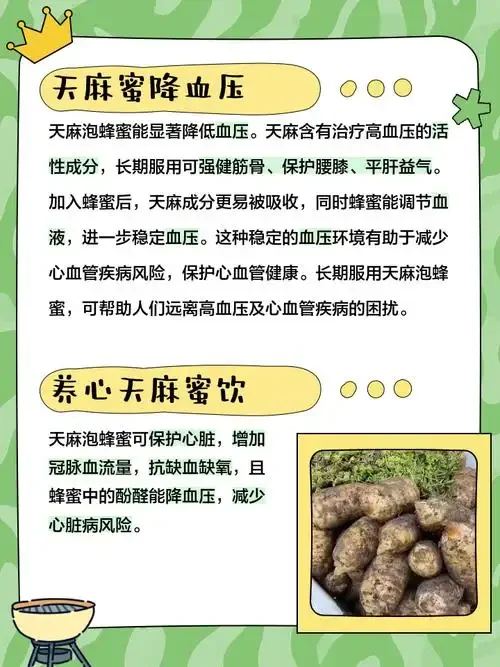 一个装有灵芝和天麻的玻璃泡酒罐，酒液金黄透亮，药材清晰可见，展示了家庭自制药酒的真实场景。_1